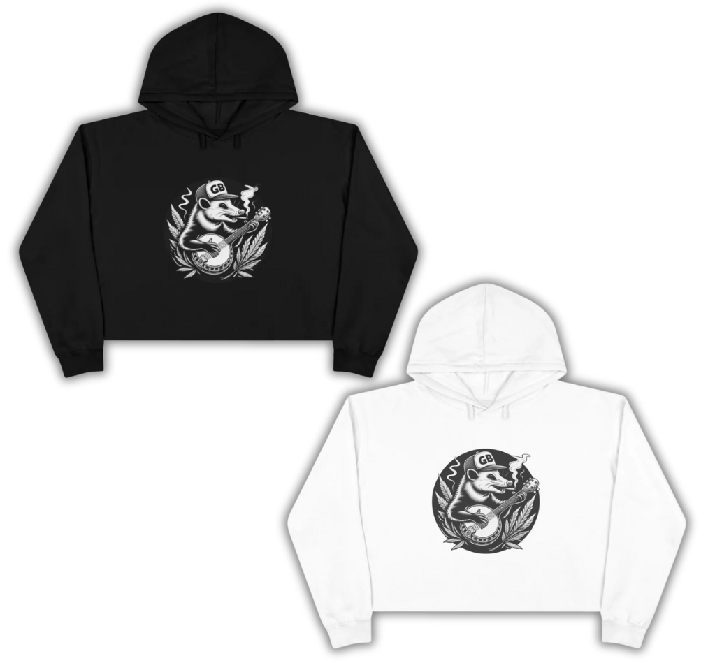 Logo Crop hoodie